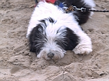 Cervia 2011-117